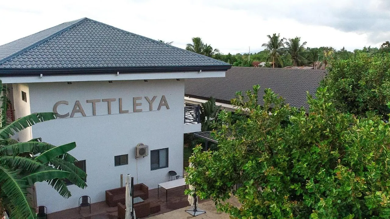 Bohol Cattleya Resort بنغلاو الفلبين